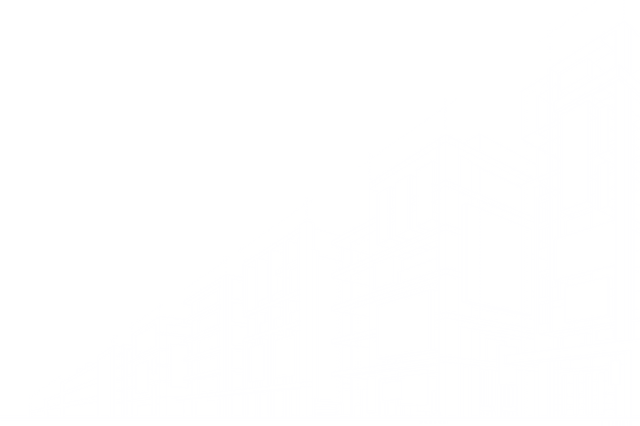 Votre image
